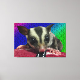 Young Sugar Glider Leinwand
