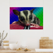 Young Sugar Glider Poster (Küche)