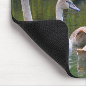 Young Swan Family Mousepad (Ecke)