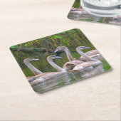 Young Swan Party Untersetzer (angewinkelt)