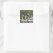 Young Swans Sticker (Tasche)