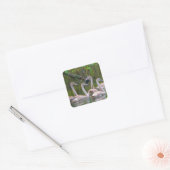 Young Swans Sticker (Umschlag)