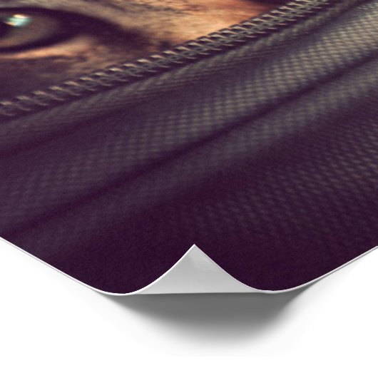 Young Tabby Kitten Poster (Ecke)