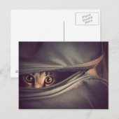 Young Tabby Kitten Postkarte (Vorne/Hinten)