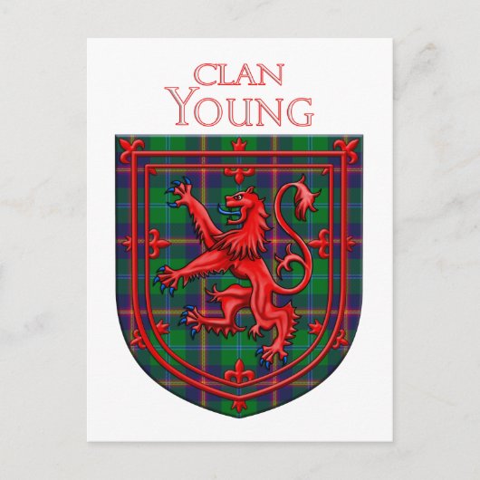 Young Tartan Scottish Kariert Lion Rampant Postkarte (Vorderseite)