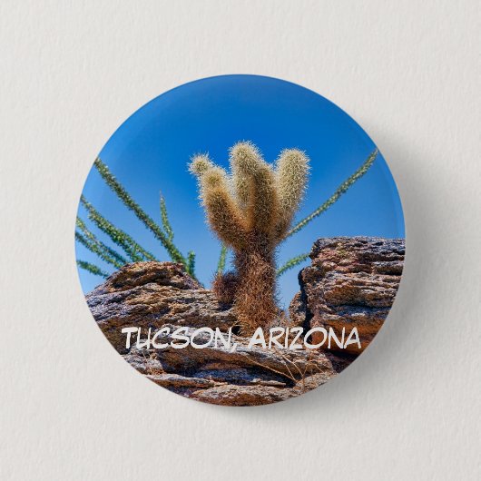 Young Teddy Bear Cholla Cactus, Tucson Button (Vorderseite)