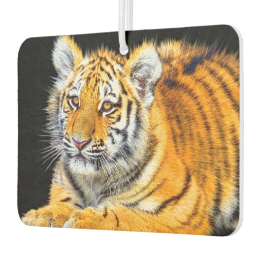 Young Tiger Autolufterfrischer (Links)