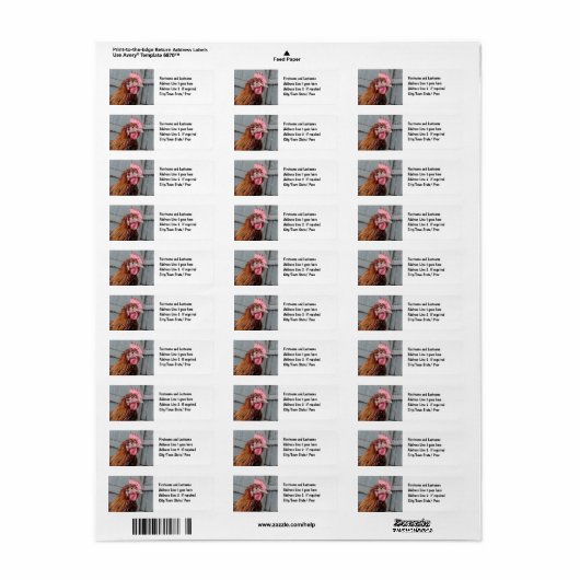 Young WelSummer Rooster Chicken (Vorne)