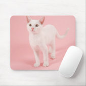 Young white cat 2 mousepad (Mit Mouse)