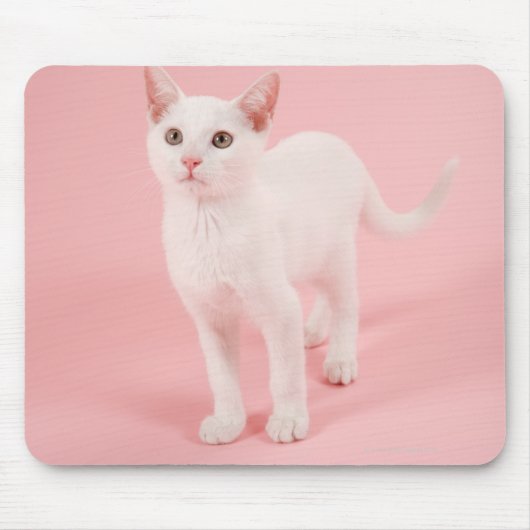 Young white cat 2 mousepad (Vorne)