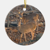 Young Whitetail Deer Christmas Ornament (Vorne)