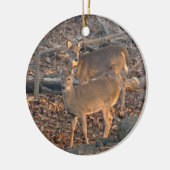Young Whitetail Deer Christmas Ornament (Links)