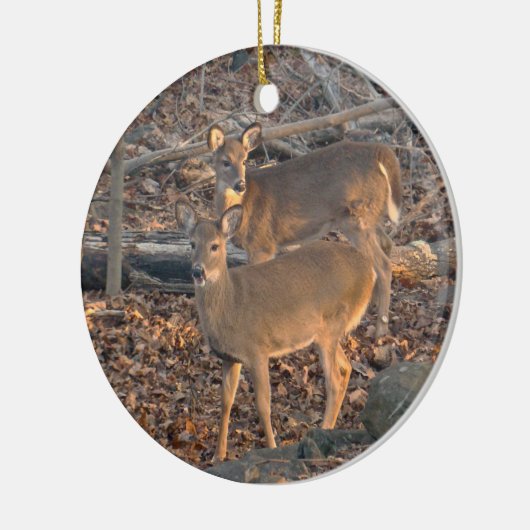 Young Whitetail Deer Christmas Ornament (Links)