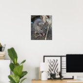 Young Wild Rat Print Poster (Heimbüro)