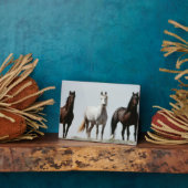 Young Wild Stallions Fotoplatte (Seite)