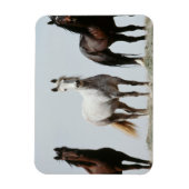 Young Wild Stallions Magnet (Vertikal)