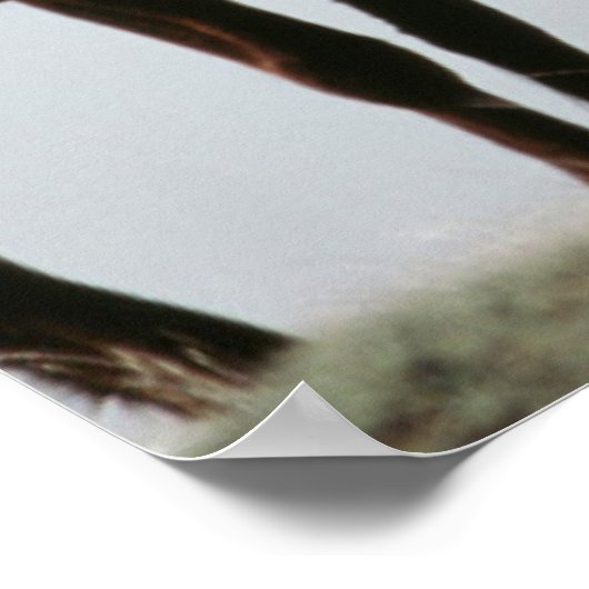 Young Wild Stallions Poster (Ecke)