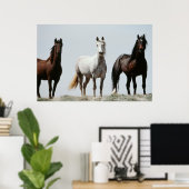 Young Wild Stallions Poster (Heimbüro)