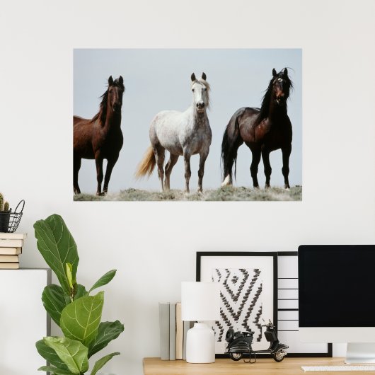 Young Wild Stallions Poster (Heimbüro)