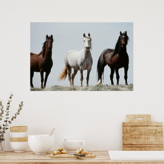 Young Wild Stallions Poster (Küche)