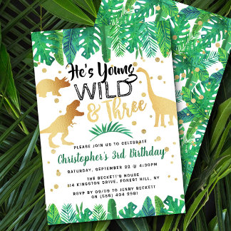 Young Wild & Three Dinosaur Boys 3rd Birthday Einladung
