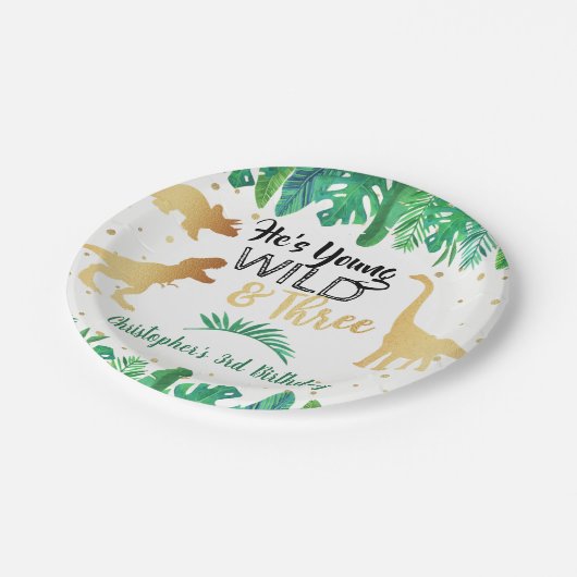 Young Wild & Three Dinosaurier Boys Dritter Geburt Pappteller (Schrägansicht)