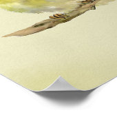 Young Wood Warbler Poster (Ecke)