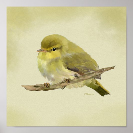 Young Wood Warbler Poster (Vorne)