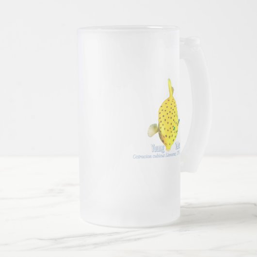 Young Yellow Box Fiah Mattglas Bierglas (VorderseiteRechts)