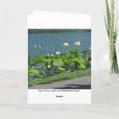 Your Message Dankeskarte (Rückseite)