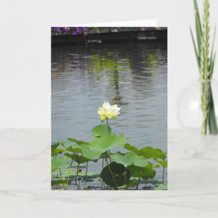 Your Message Dankeskarte