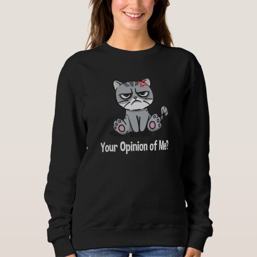 Your Opinion of Me Sarcastic Coworker Sarcasm Offi Sweatshirt (Vorderseite)