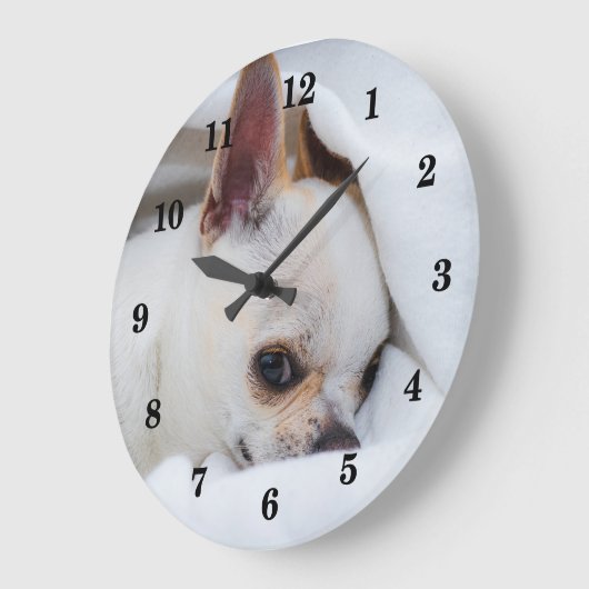 Your pet dog puppy custom photo chihuahua große wanduhr (Winkel)