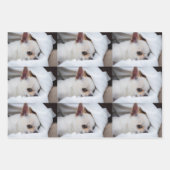 Your pet dog puppy custom photo chihuahua pattern geschenkpapier set (Vorderseite 3)