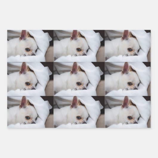Your pet dog puppy custom photo chihuahua pattern geschenkpapier set (Vorderseite 3)