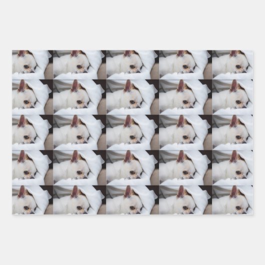 Your pet dog puppy custom photo chihuahua pattern geschenkpapier set (Vorderseite 2)