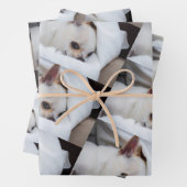 Your pet dog puppy custom photo chihuahua pattern geschenkpapier set (Beispiel)