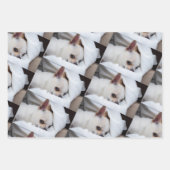 Your pet dog puppy custom photo chihuahua pattern geschenkpapier set (Vorderseite)