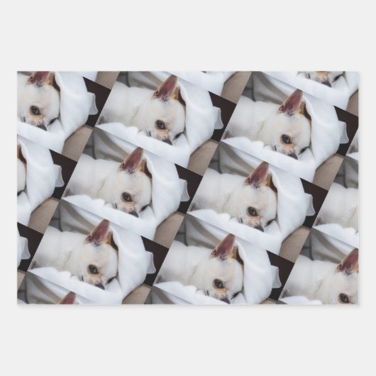 Your pet dog puppy custom photo chihuahua pattern geschenkpapier set (Vorderseite)