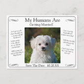 Your Pet Photo Save The Date Black White Infinity Postkarte (Vorderseite)