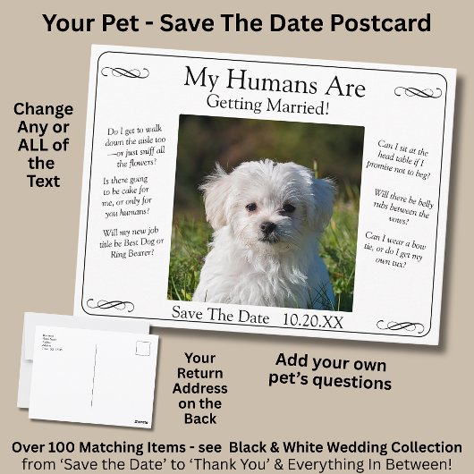 Your Pet Photo Save The Date Black White Infinity Postkarte