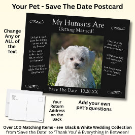 Your Pet Photo Save The Date Black White Infinity Postkarte