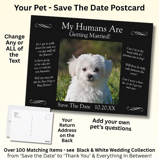 Your Pet Photo Save The Date Black White Infinity Postkarte
