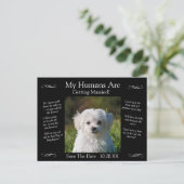 Your Pet Photo Save The Date Black White Infinity Postkarte (Stehend Vorderseite)