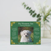 Your Pet Photo Save The Date Emerald Green & Gold Postkarte (Stehend Vorderseite)