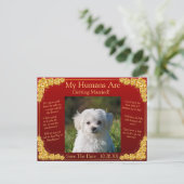 Your Pet Photo Save The Date Gold Roses Maroon Red Postkarte (Stehend Vorderseite)