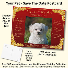 Your Pet Photo Save The Date Gold Roses Maroon Red Postkarte