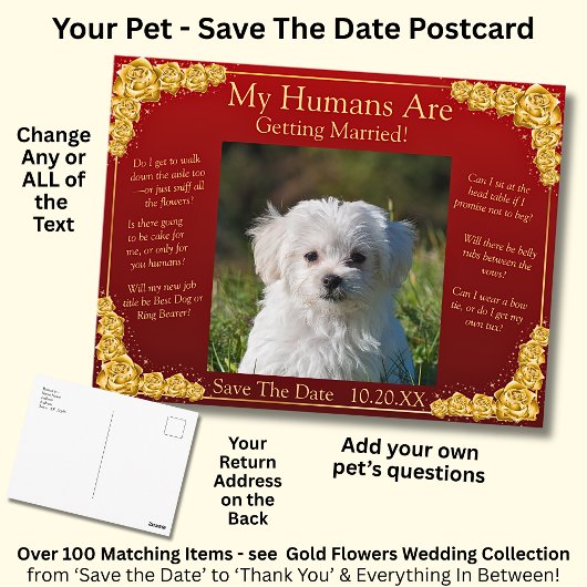 Your Pet Photo Save The Date Gold Roses Maroon Red Postkarte