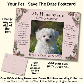 Your Pet Photo Save The Date Pink Roses & Doves Postkarte