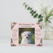 Your Pet Photo Save The Date Pink Roses & Doves Postkarte (Stehend Vorderseite)